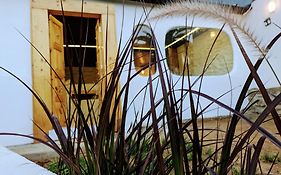 Cob House